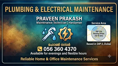 Professional Plumbing and Electrical Maintenance Services