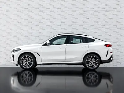 2020 BMW X6 照片 5