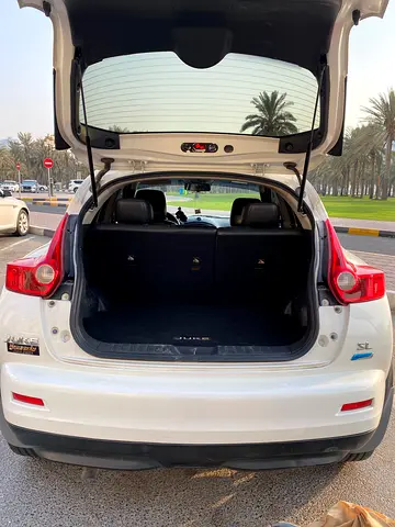 2013 Nissan JUKE 照片 8