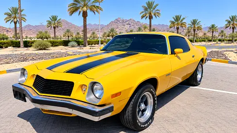 1976 Chevrolet CAMARO 缩略图 19
