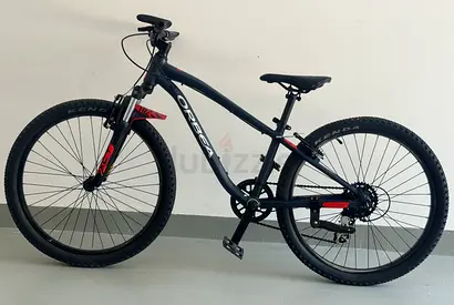 Orbea 24 junior mountain bike