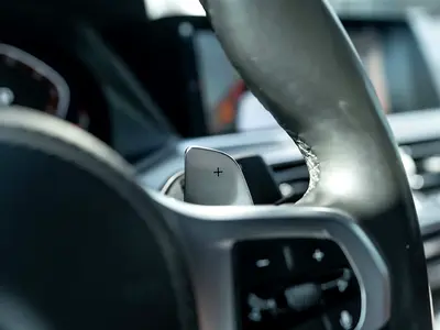 2020 BMW X6 缩略图 19