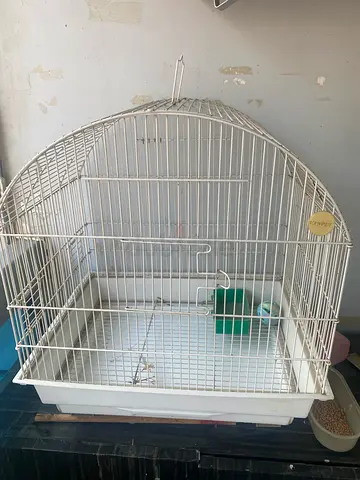 Parrot cage