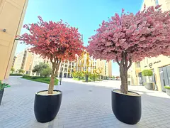 Hot Deal | 1BHK | 2 Bathrooms | Al Mamsha | Luxury lifestyle