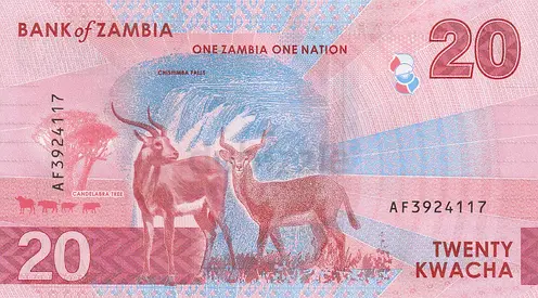 ZAMBIA 20 KWACHA BANKNOTE 2024