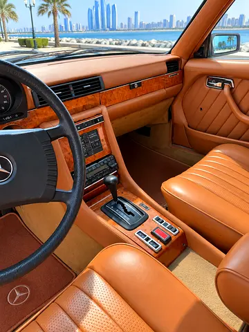1980 Mercedes-BENZ SEL/SEC 照片 10