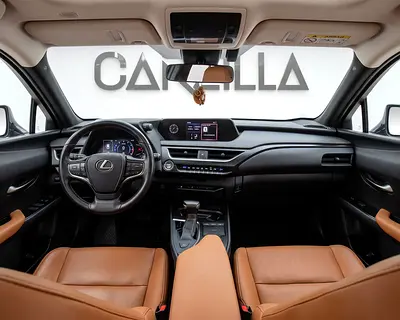 2020 Lexus UX-SERIES 照片 8