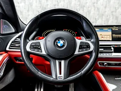 2023 BMW X6 — миниатюра 12