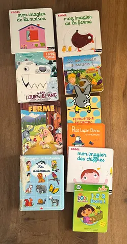 Bundle 60 French Kids Books (Dora, Imagier, Counting, Animals)