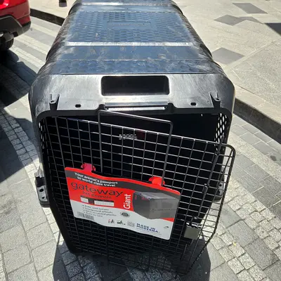 Dogs carriers for air travel extra large