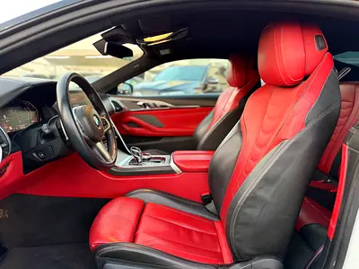 2020 BMW 8-SERIES 照片 8