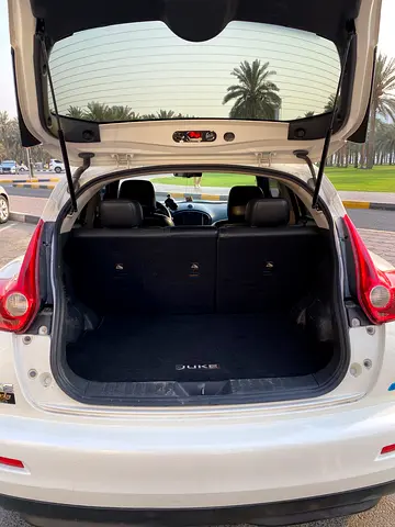 2013 Nissan JUKE 照片 10
