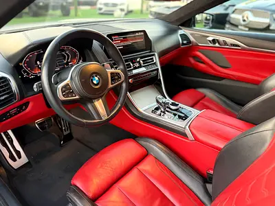 2020 BMW 8-SERIES 照片 9