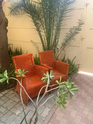 Rattan chairs