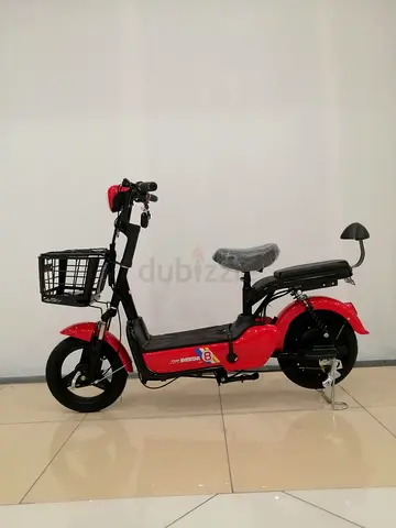 EVESTAR ELECTRIC BIKE WITH PEDAL AND SPEEDOMETER