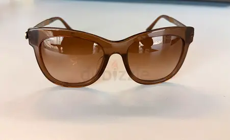 Giorgio Armani Cat-Eye Sunglasses (Model: AR 8011-F)