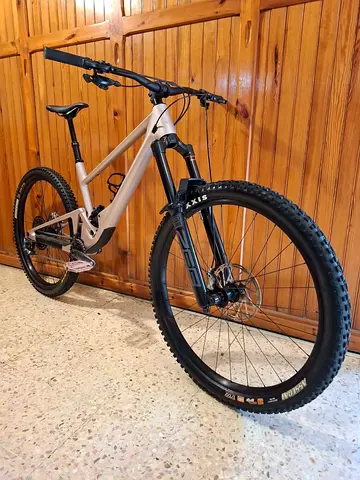 SCOR 4060 LT rose carbon bike