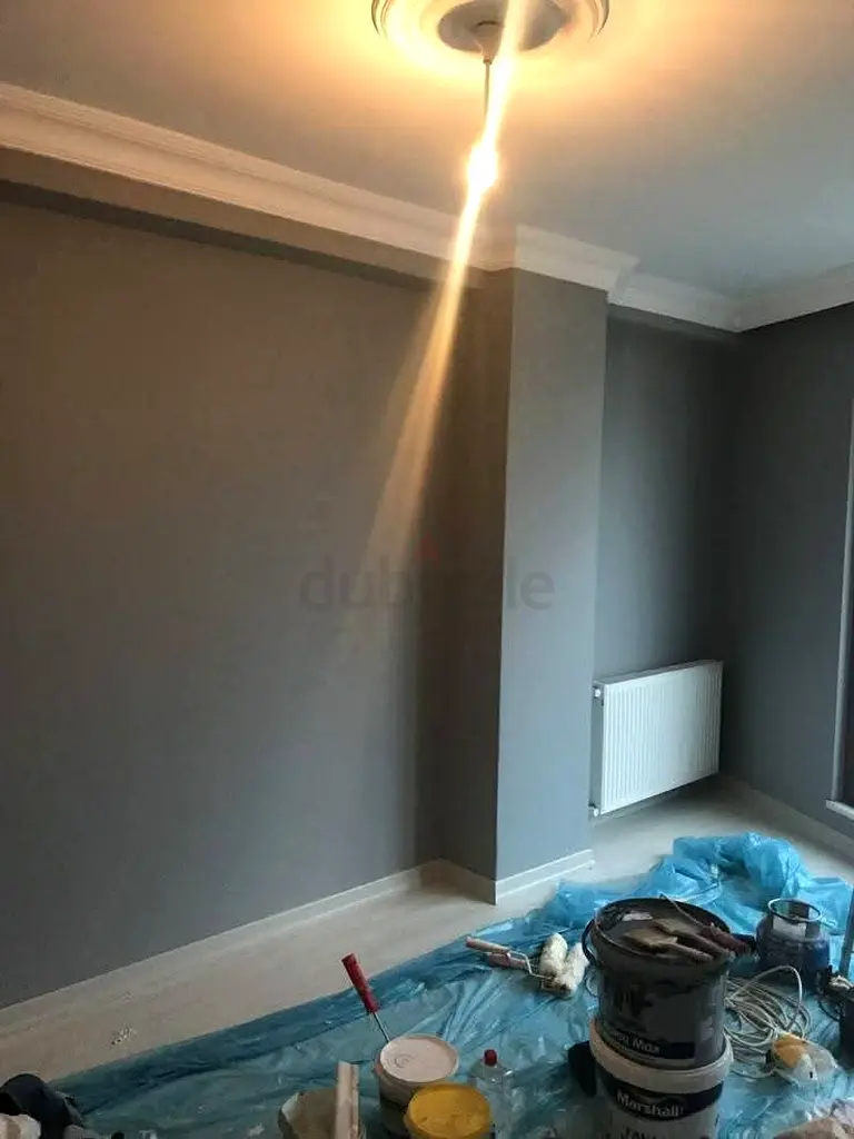 DPV_View_Image_1