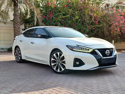 2020 Nissan MAXIMA 照片 1