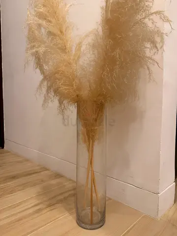 Decorative Glass Cylinder Vase with Pampas Grass 40cm tall