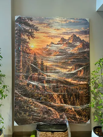 Picture