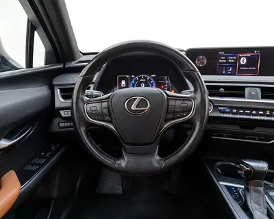 2020 Lexus UX-SERIES 照片 9
