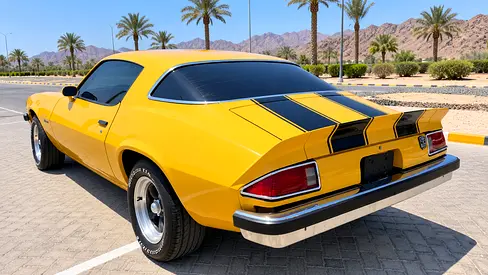صورة 6 لـ 1976 Chevrolet CAMARO