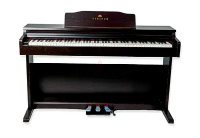 Steiner DP-250 Digital Piano