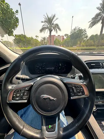 2019 Jaguar F-PACE — миниатюра 14