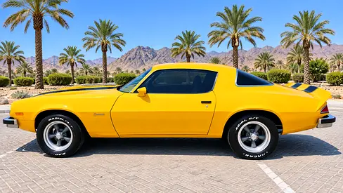 1976 Chevrolet CAMARO 缩略图 17