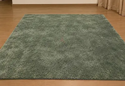 Ikea Large soft green area rug - plush $%&! carpet, excellent condition