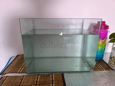 Glass Fish Aquarium Tank - Small/Medium (Ready to Use)