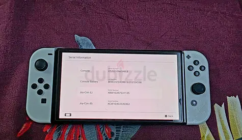 Nitnadoo switch oled version