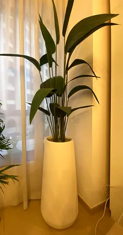 Artificial Potted Strelitzia Plant (Bird of paradise) In tall planter