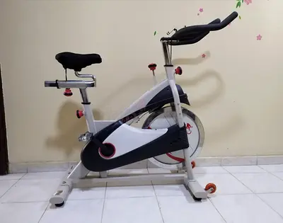 Sunny Health & Fitness 40lb Flywheel Belt Drive Indoor Cycle Bike