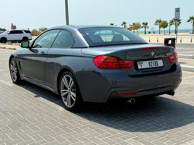 2014 BMW 4-SERIES thumbnail 20