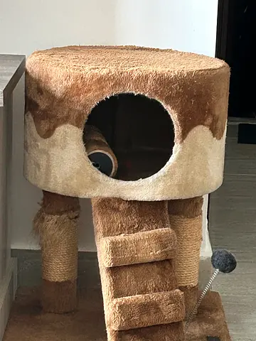 Used multi-level beige cat tree with scratching posts and condo