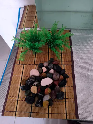 Aquarium small (10lotter) Decorative Plants and Mixed River Stones - Good Condition