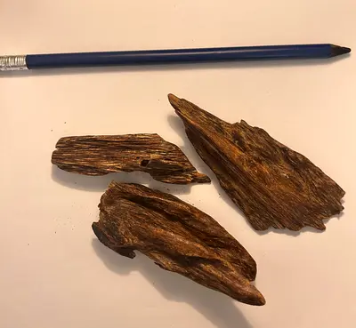 Natural Agarwood (Oud) Chips - Small Pieces for Burning/Fragrance