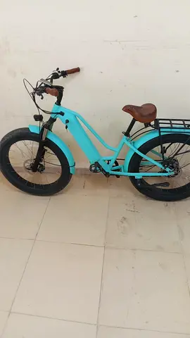 Cyan Fat Tire  Bike with Rear Rack