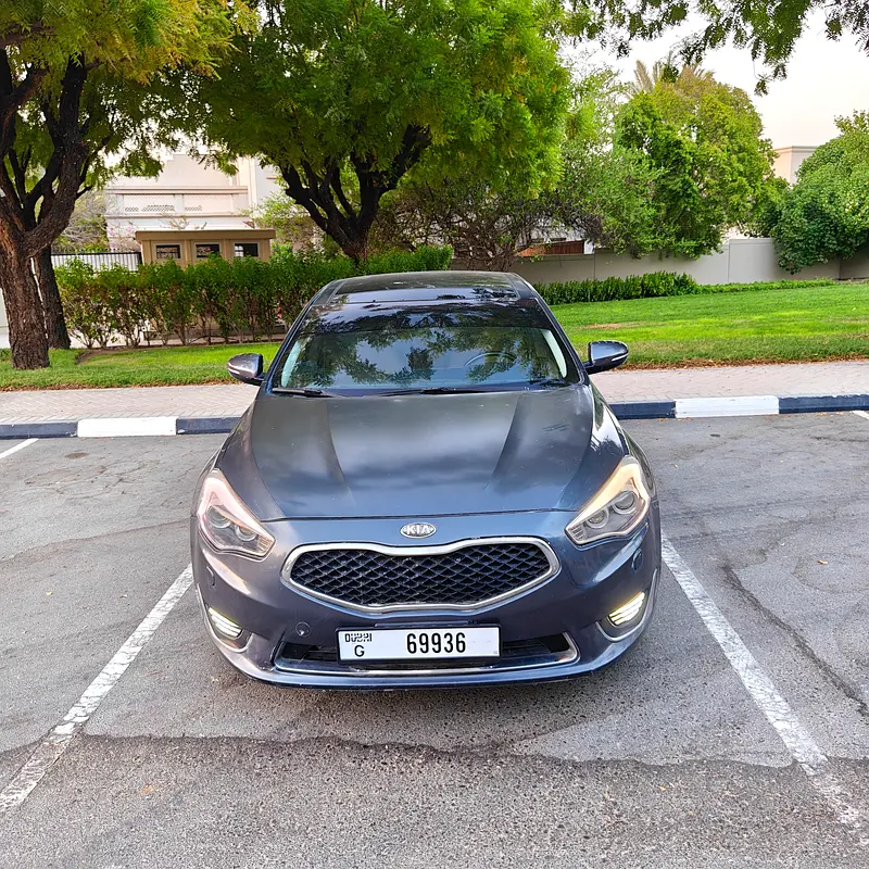 2014 Kia Cadenza Platinum