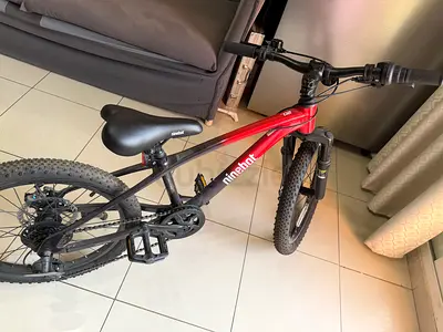 Ninebot Kids/Youth Mountain Bike - Red/Black, Good Condition 20 inches