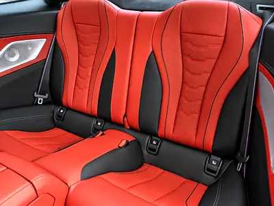 2021 BMW 8-SERIES 缩略图 13