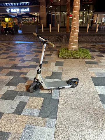 Electric scooter
