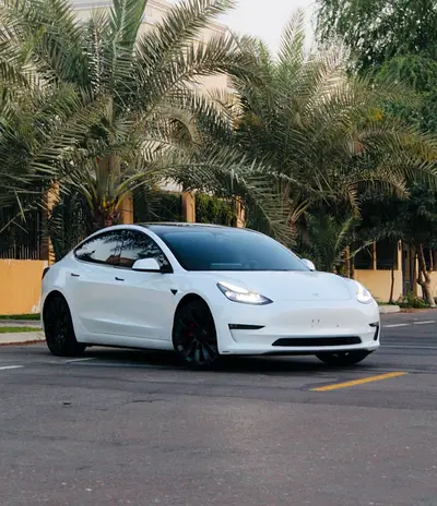 2023 Tesla MODEL 3 照片 2