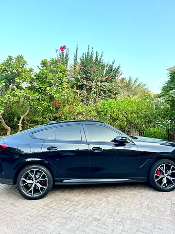 2022 BMW X6 照片 4