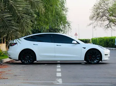 2023 Tesla MODEL 3 照片 4