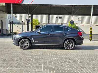 2019 BMW X6 照片 5