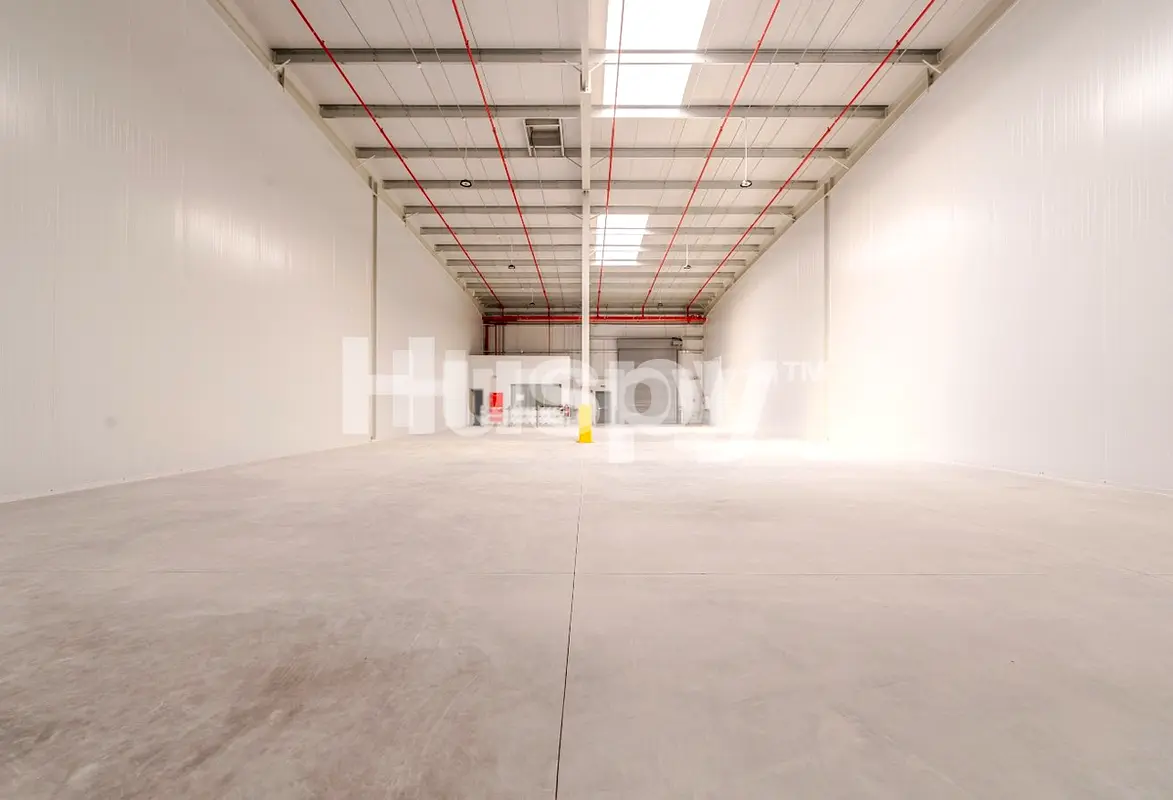 gallery-image