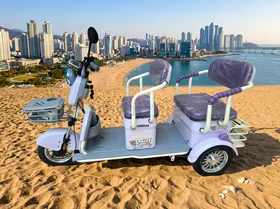 Electric tri scooter for adults